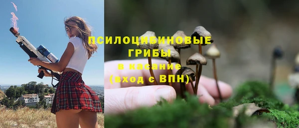 бошки Алексин