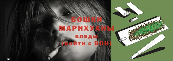 бошки Алексин