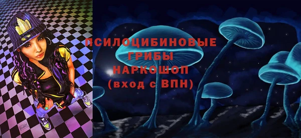 бошки Алексин