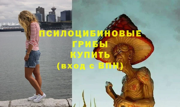 метадон Алексеевка
